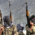 PKKê dev ji çek berde diqede û nikare berjewendiya dewletên dagirker bimeşîne