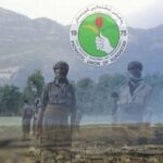 Şengal’de YNK ile PKK arasındaki ittifak tam bir çılgınlık…