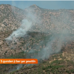 Amêdî - Ji ber şerê PKK û Tirkiyeyê bi hezaran donim zevî şewitîn - Video